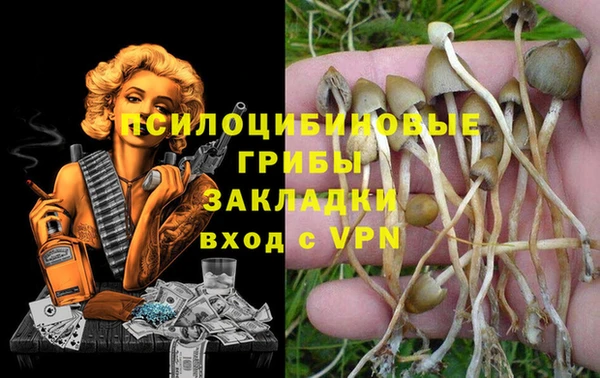 прущие крисы Волосово