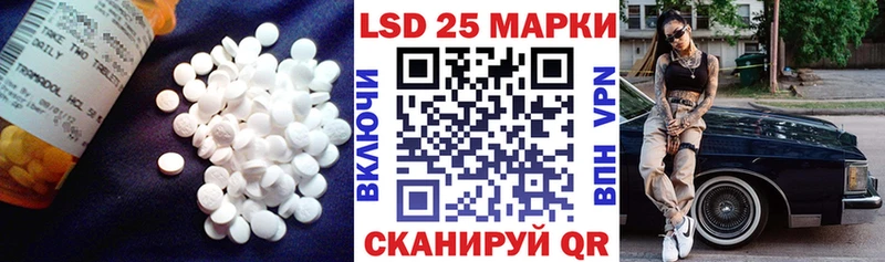 Лсд 25 экстази ecstasy  как найти наркотики  Карачев 