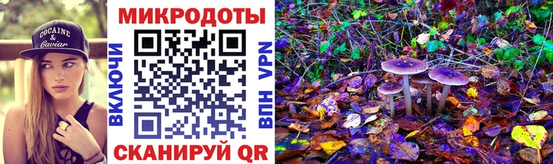 дарнет шоп  блэк спрут tor  Псилоцибиновые грибы мухоморы  Карачев 